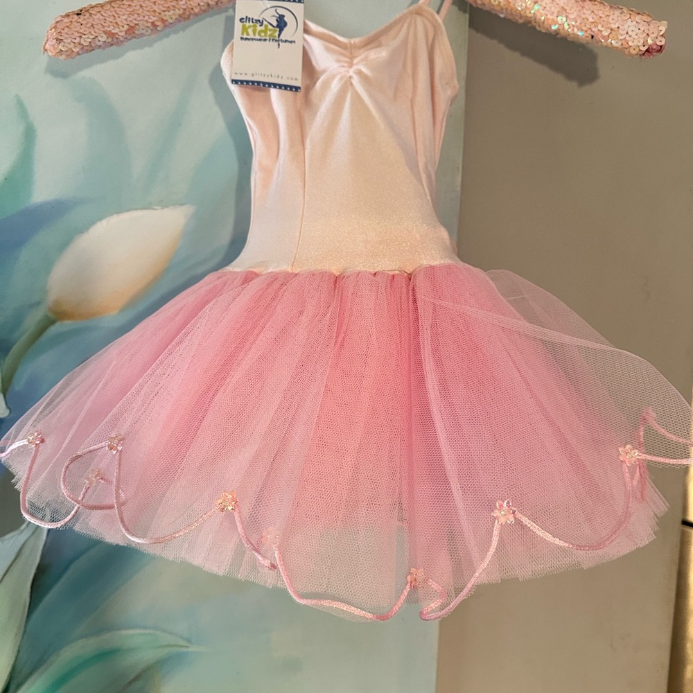 Pastel Pink Dance Tutu